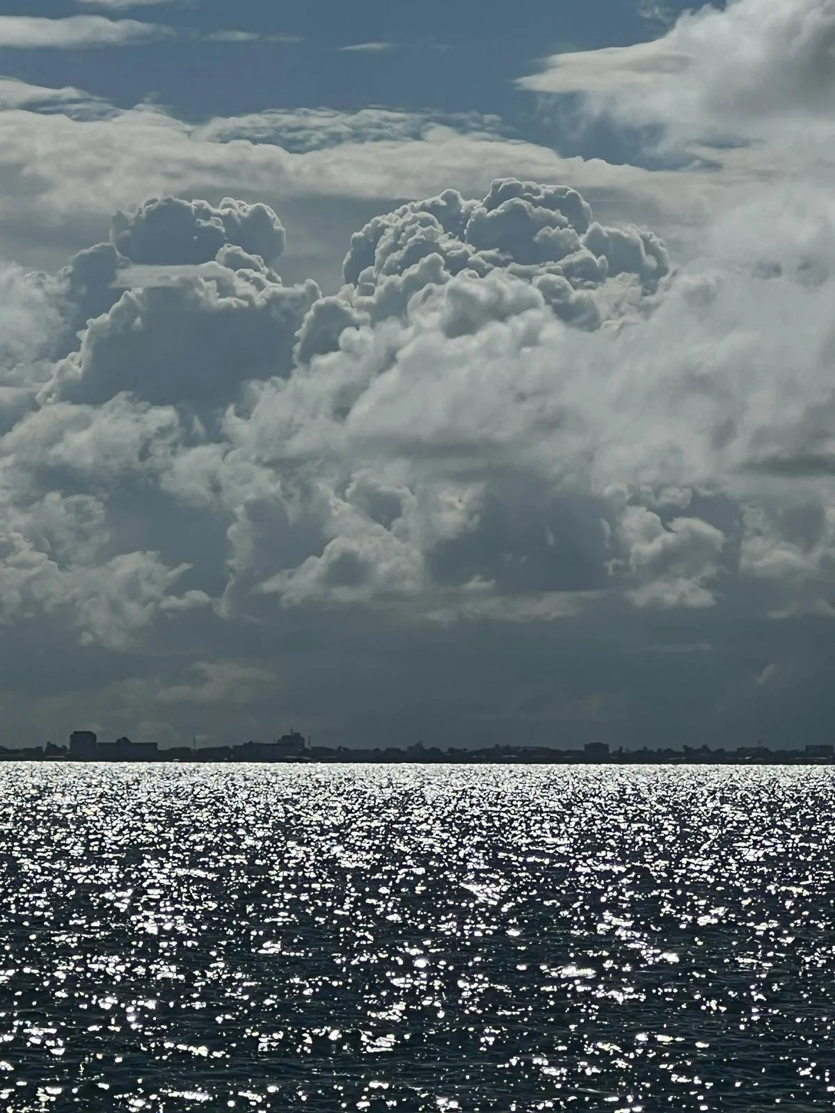 WhatsApp Image 2025-12-11 at 19.18.46 (9).jpeg