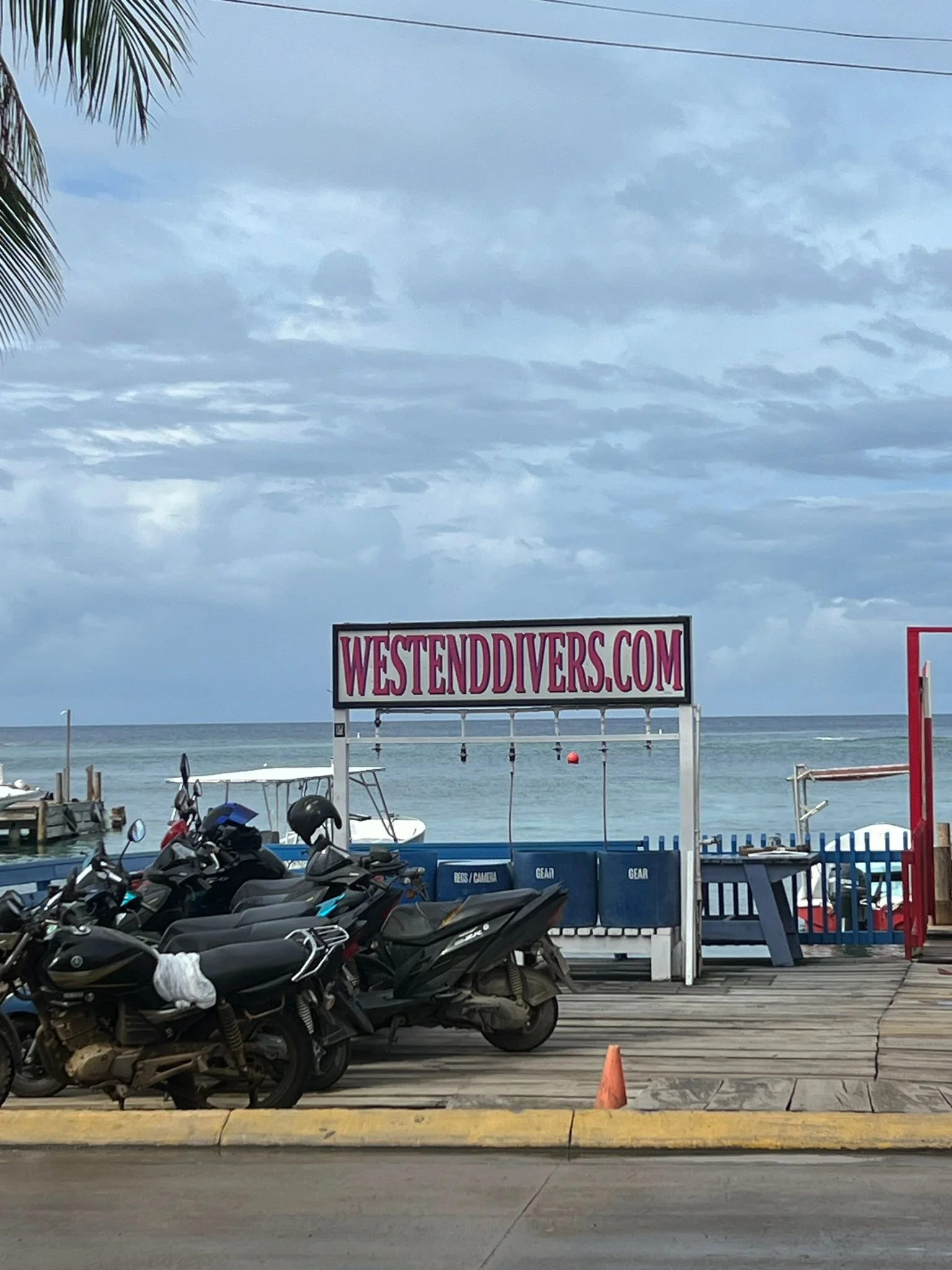 WhatsApp Image 2025-12-15 at 19.41.24 (8).jpeg