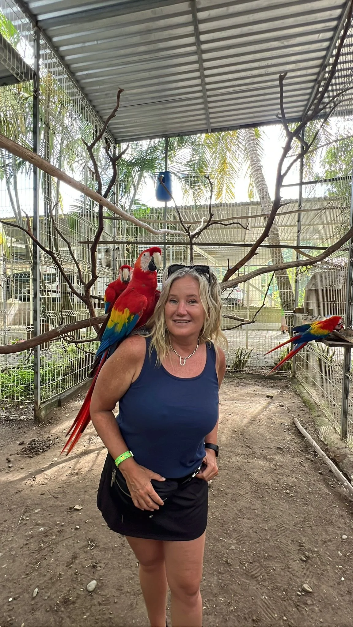 WhatsApp Image 2025-12-15 at 19.41.42 (1).jpeg