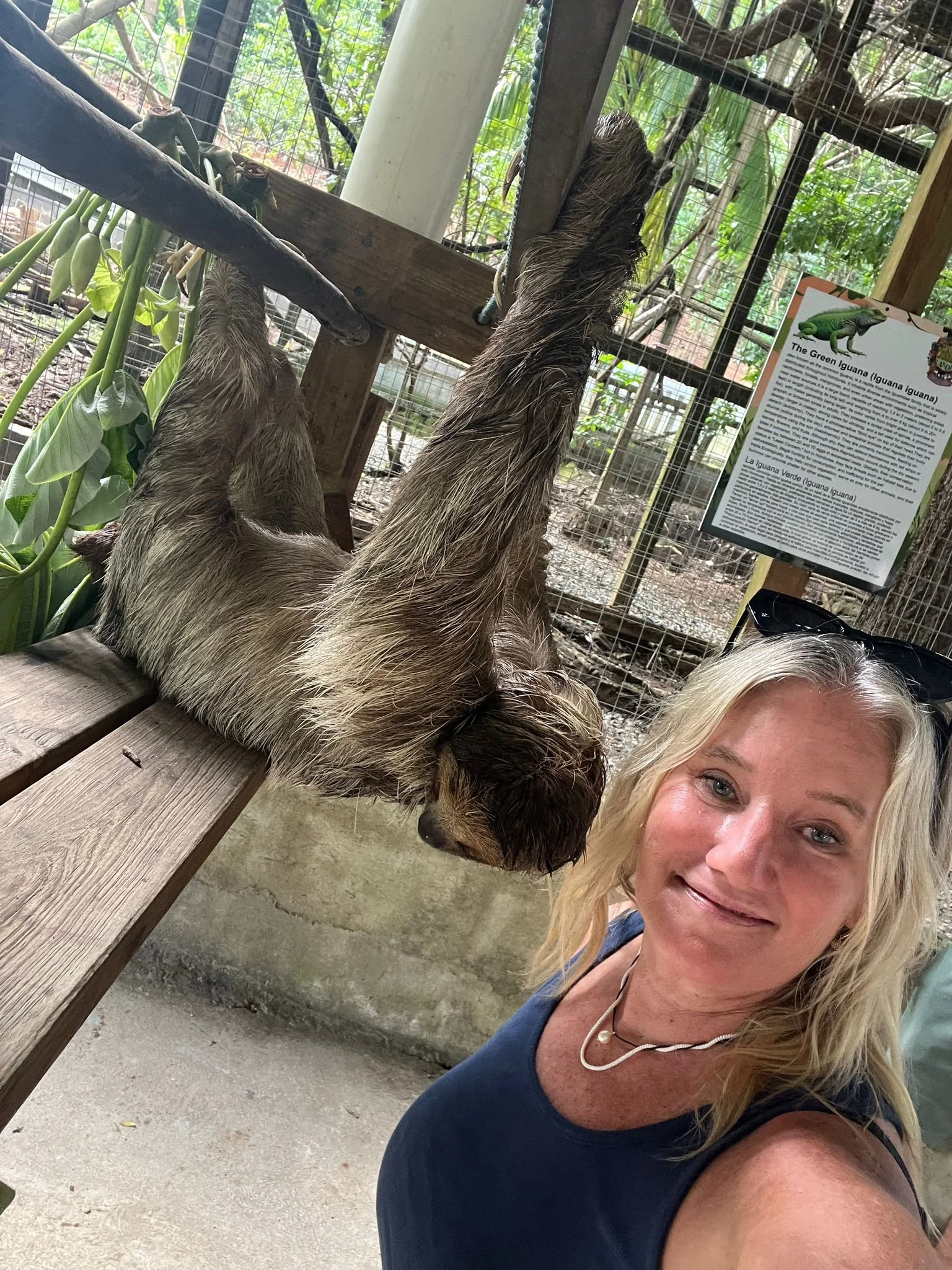 WhatsApp Image 2025-12-15 at 19.41.42 (2).jpeg