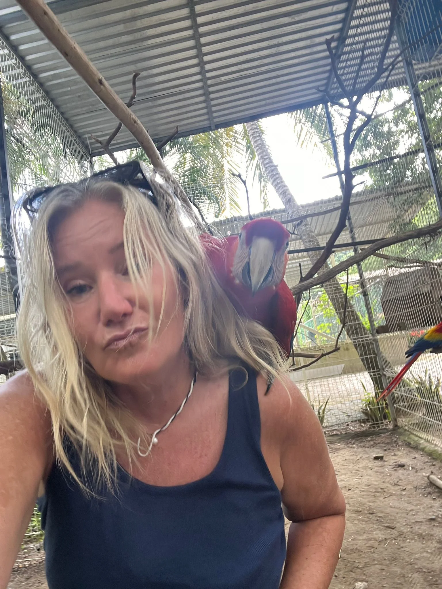 WhatsApp Image 2025-12-15 at 19.41.42 (3).jpeg