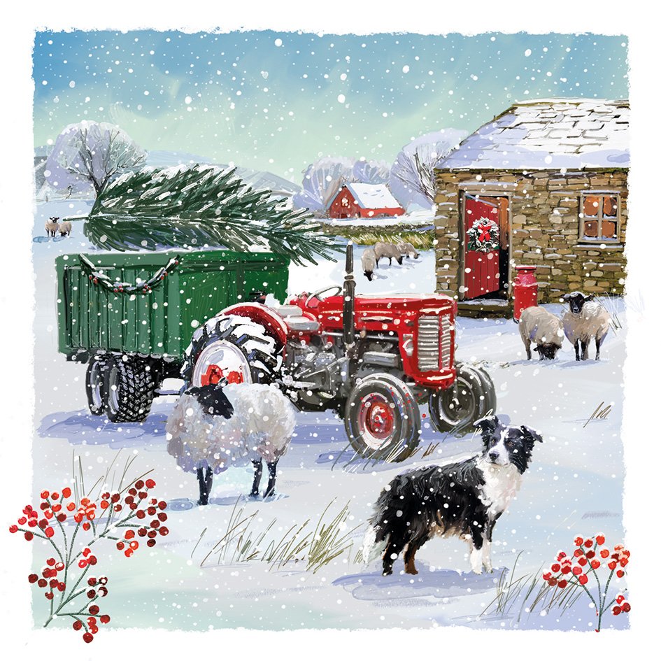 Snow on the Farm