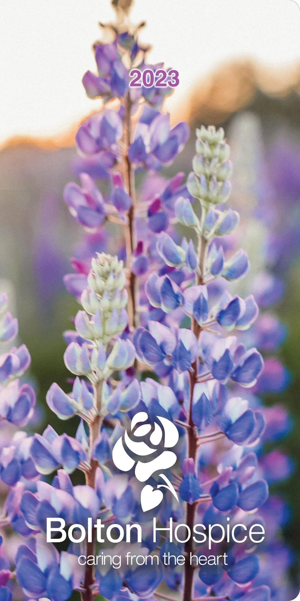 Bolton Hospice Online Shop