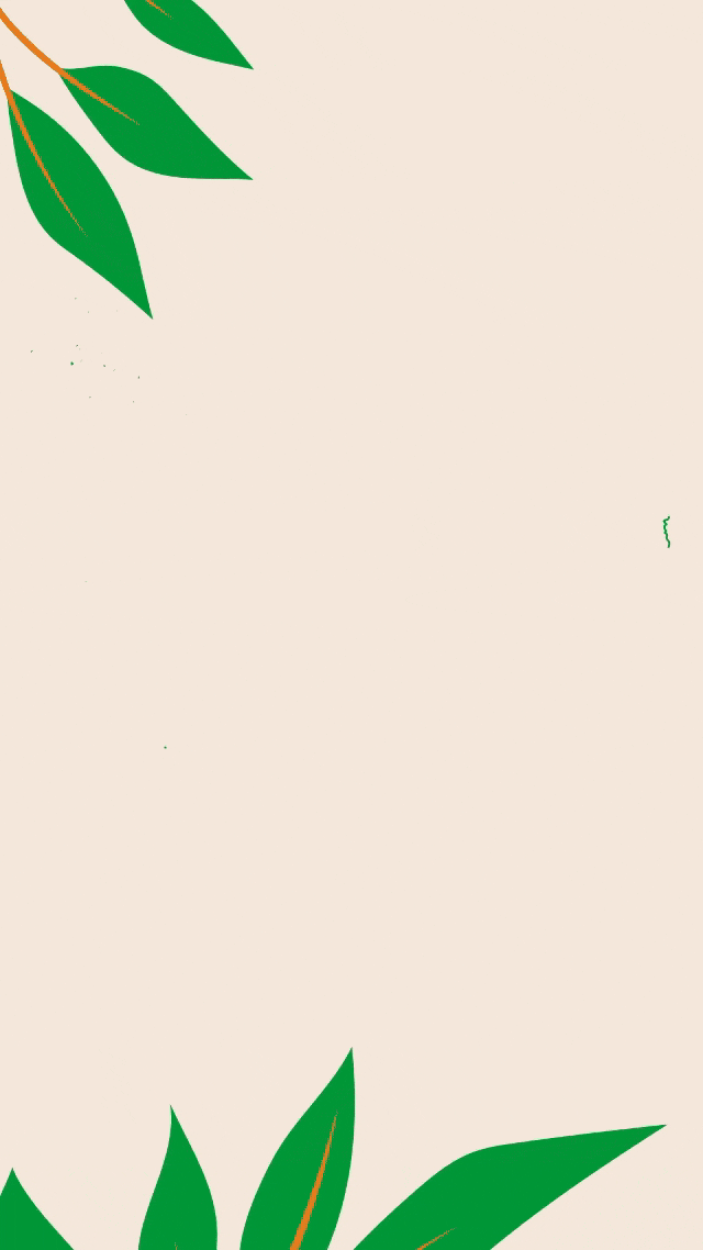 Brand visuals and strategic assets developed for Galand Tours, an ecotourism agency focused on sustainability and authentic travel experiences