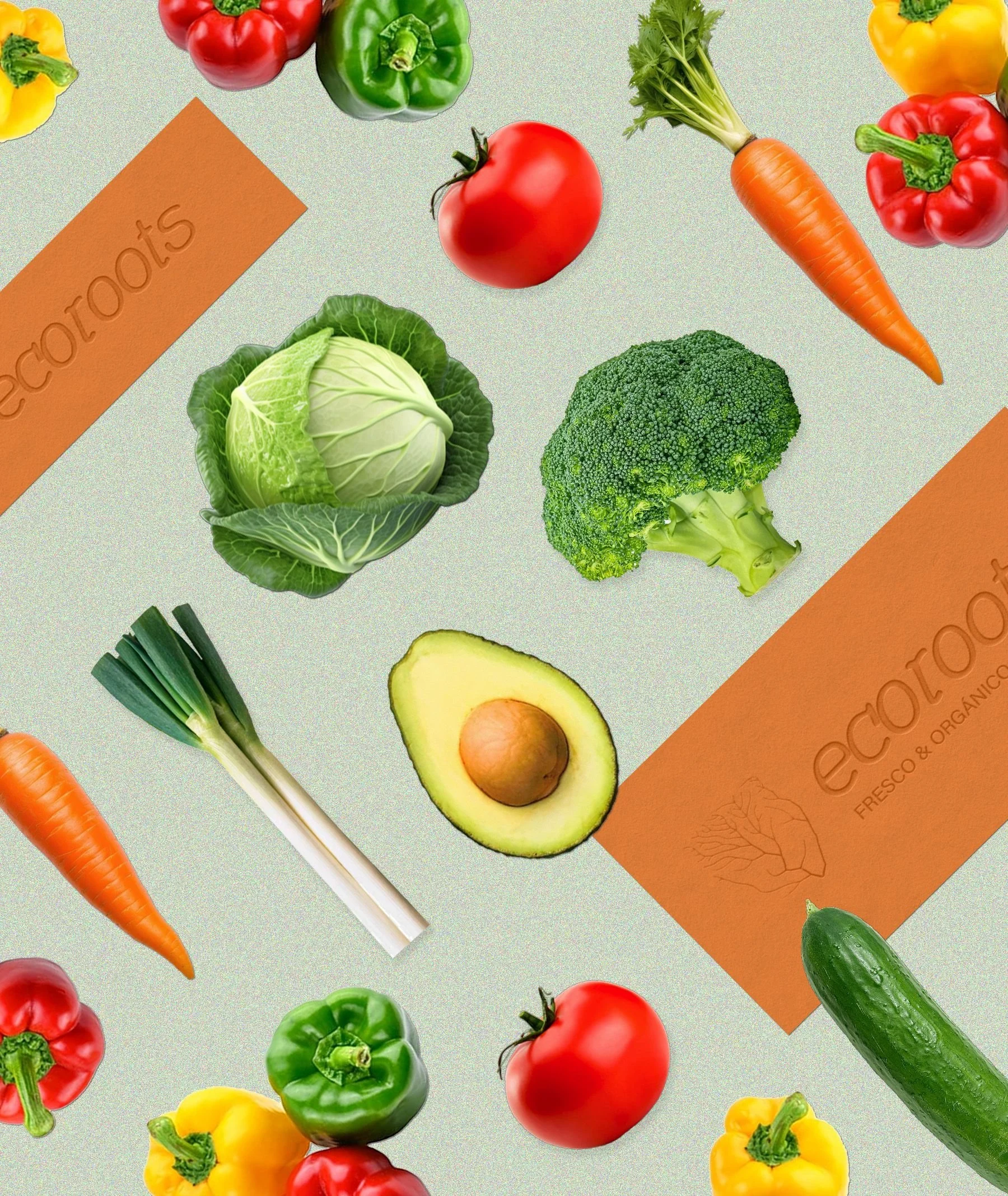 Branding mockups for Ecorrots, highlighting Branding Kit, Clarity Audit, and 1:1 Mentoring applied to their sustainable and ethical produce brand