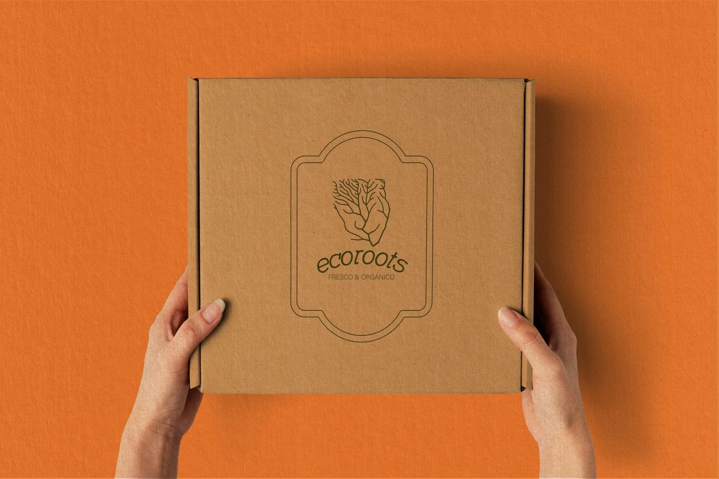 Branding mockups for Ecorrots, highlighting Branding Kit, Clarity Audit, and 1:1 Mentoring applied to their sustainable and ethical produce brand