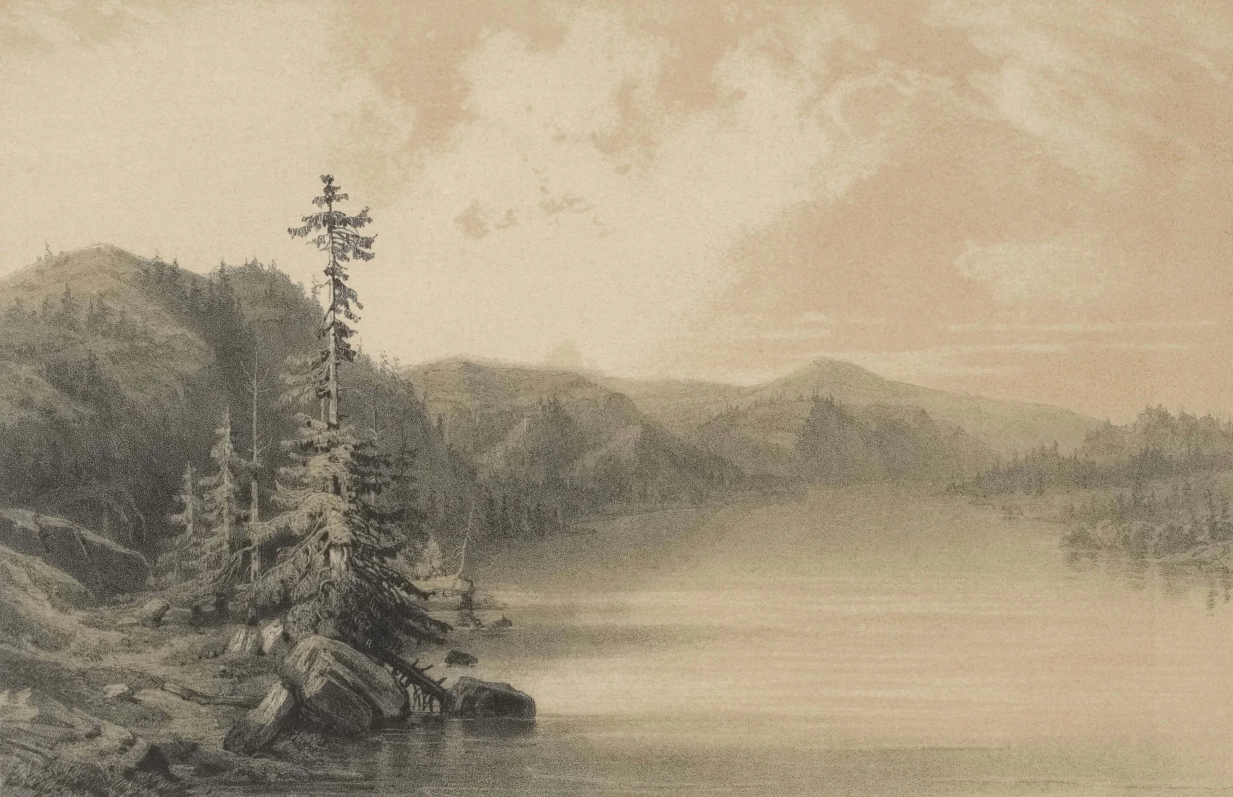 Aesthetic landscape photograph of the Ecuadorian Andes, showing a volcanic valley with soft natural light, terraced fields, and a clear, open sky