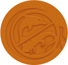 Image representing the branding kit and experience described by the client in their testimonial.