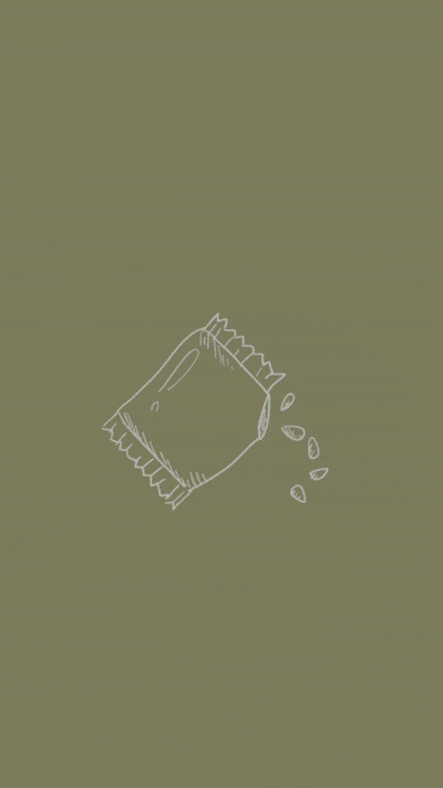 Branding mockups for Ecorrots, highlighting Branding Kit, Clarity Audit, and 1:1 Mentoring applied to their sustainable and ethical produce brand