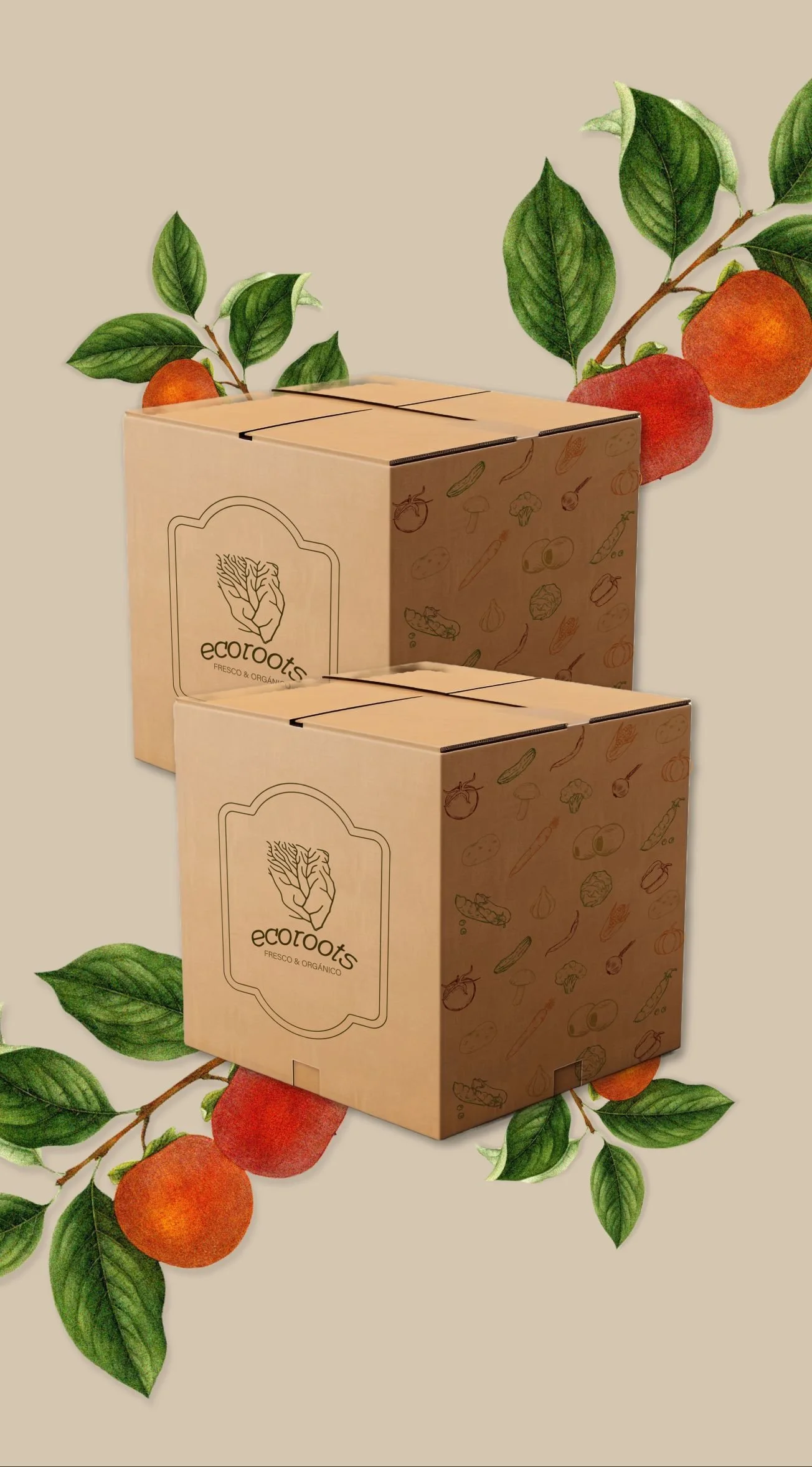 Branding mockups for Ecorrots, highlighting Branding Kit, Clarity Audit, and 1:1 Mentoring applied to their sustainable and ethical produce brand