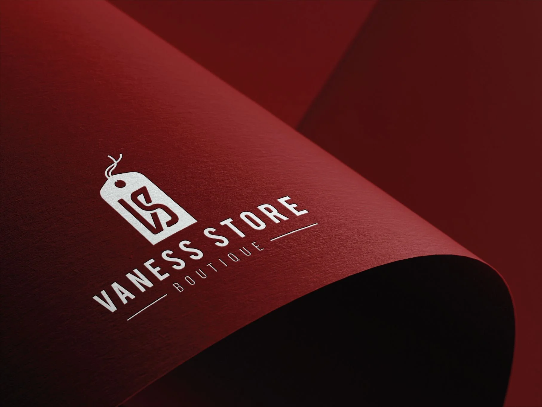 Brand identity applications and visual mockups for Vaness Store, a women’s fashion boutique brand.