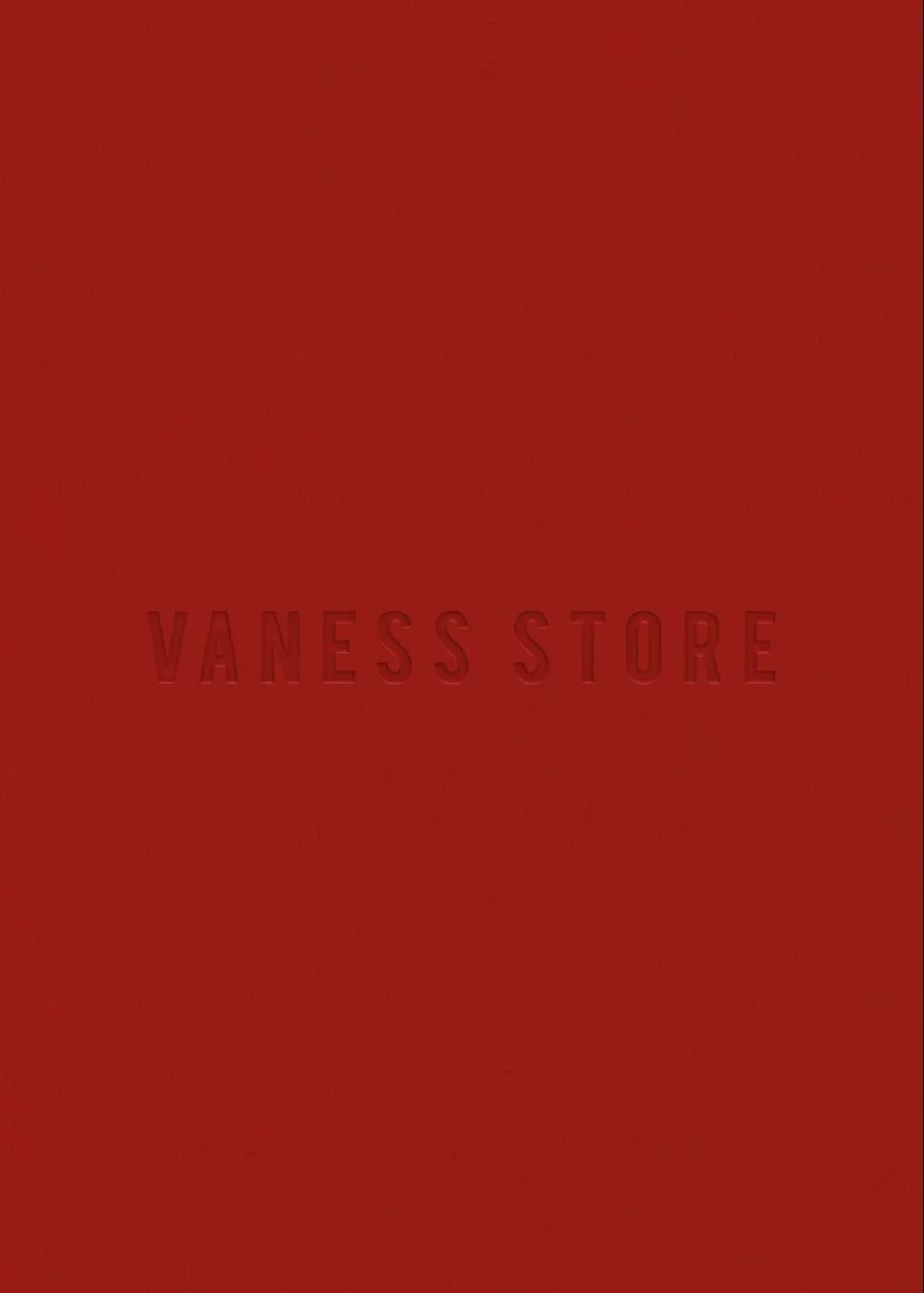 vaness-store-fashion-boutique-brand-identity-mockups.jpg
