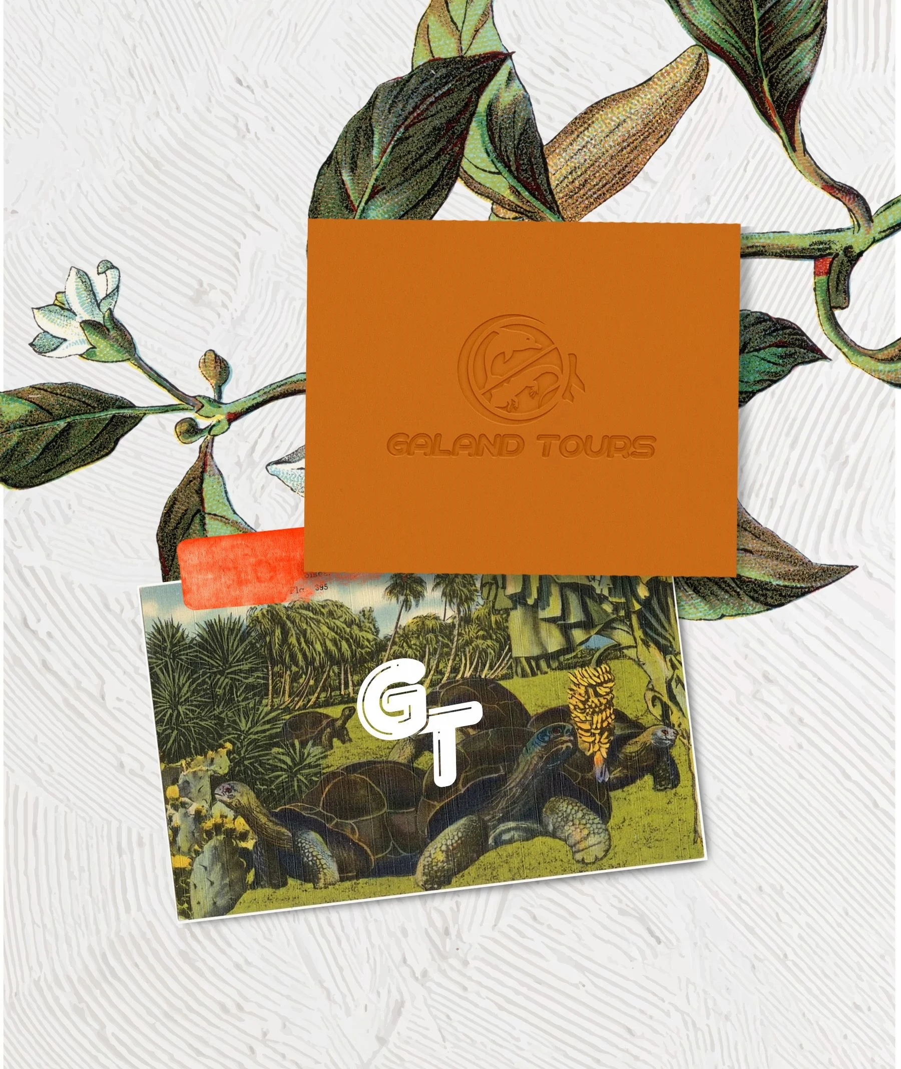 Image representing the branding kit and experience described by the client in their testimonial.