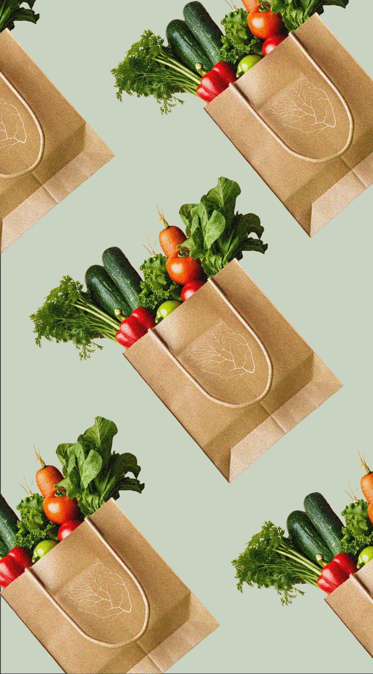 Branding mockups for Ecorrots, highlighting Branding Kit, Clarity Audit, and 1:1 Mentoring applied to their sustainable and ethical produce brand