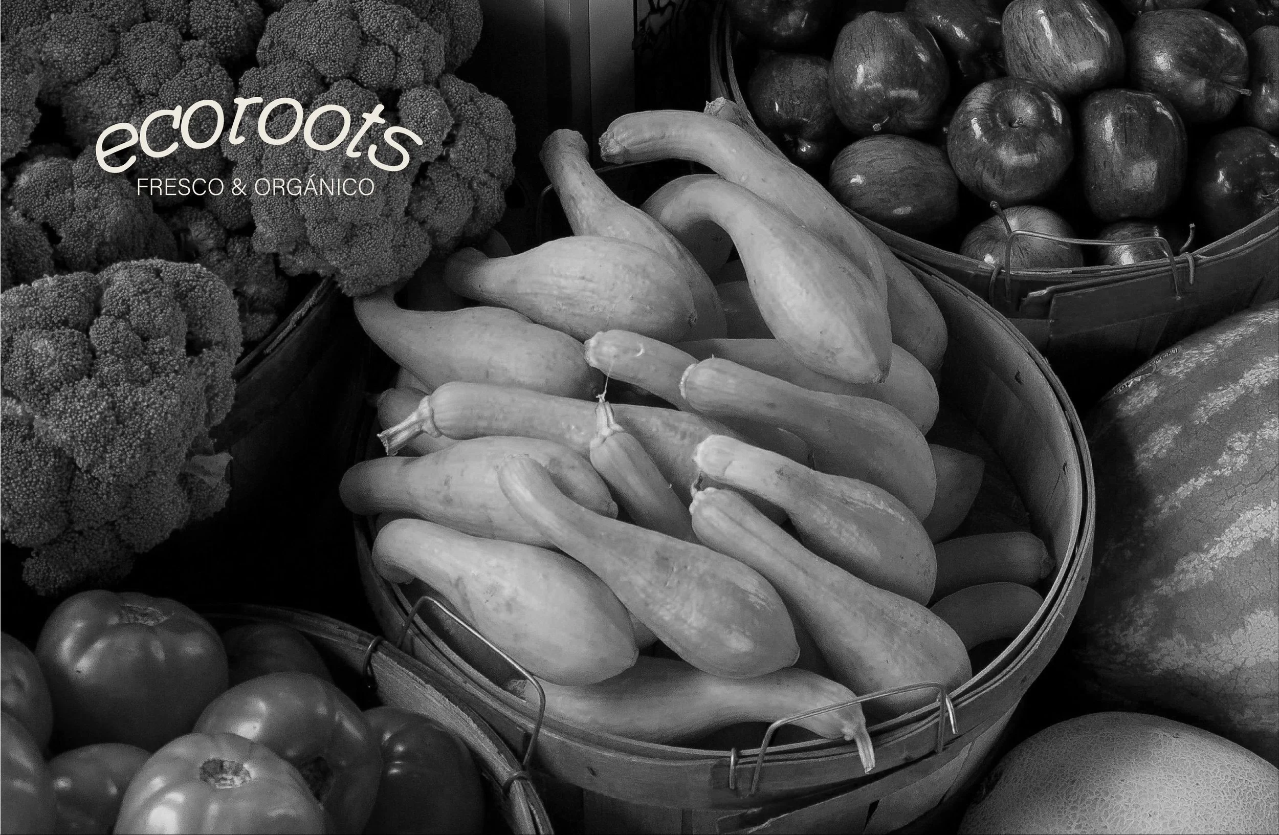 Hero image for Ecorrots brand case study, showcasing sustainable organic produce and artisanal honey with a conscious and ethical approach.