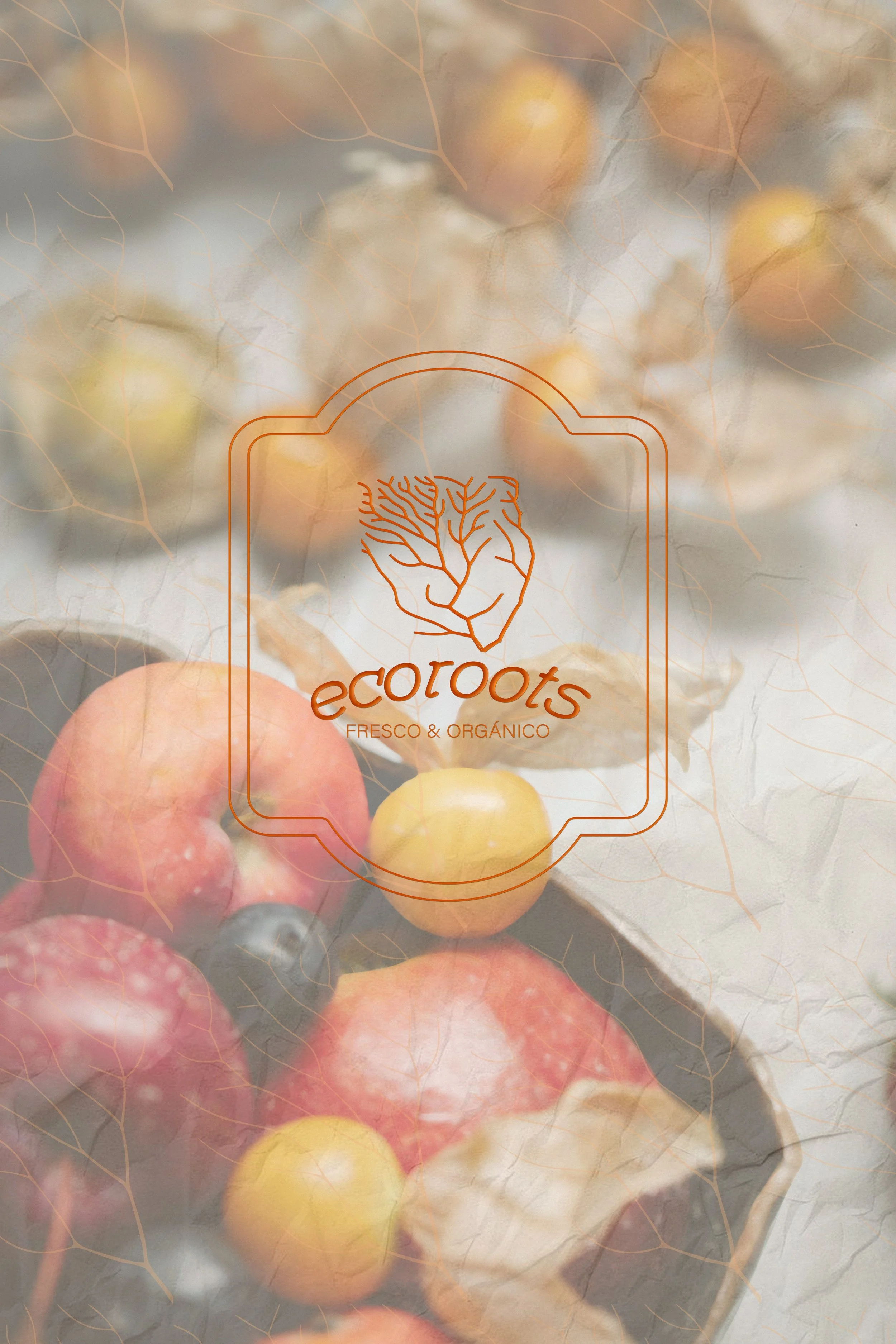 Branding mockups for Ecorrots, highlighting Branding Kit, Clarity Audit, and 1:1 Mentoring applied to their sustainable and ethical produce brand
