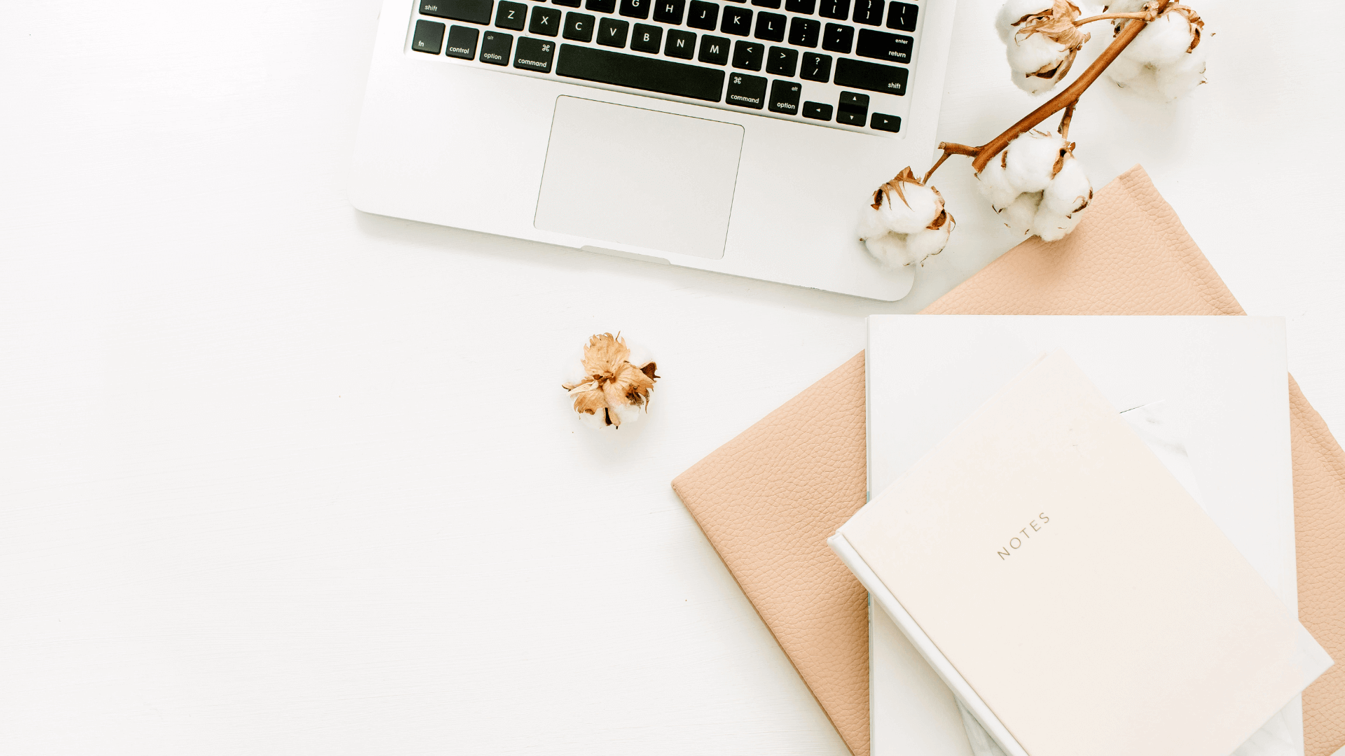 Client testimonials sharing their experience working with our creative house.