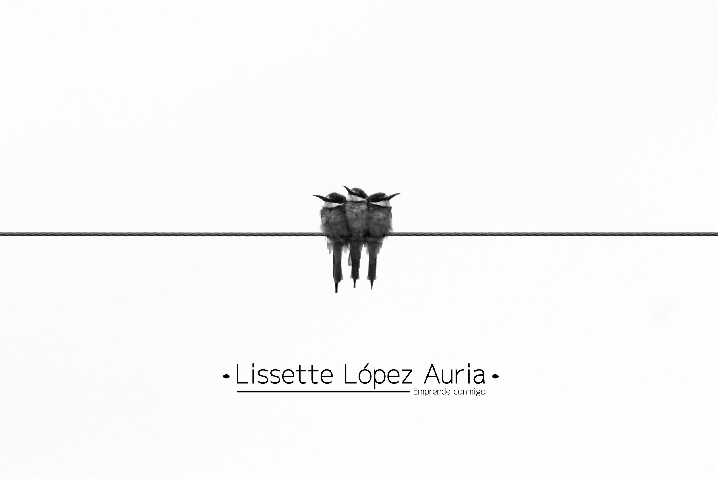 Hero image for Lissette López brand case study, showcasing natural wellbeing and ancestral medicine