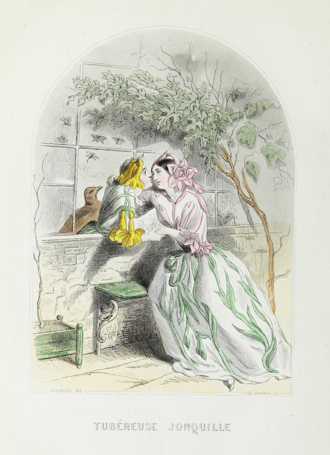 A 19th-century style illustration of a woman in a floral dress kissing a frog prince at a window, with a bird, butterflies, and foliage visible