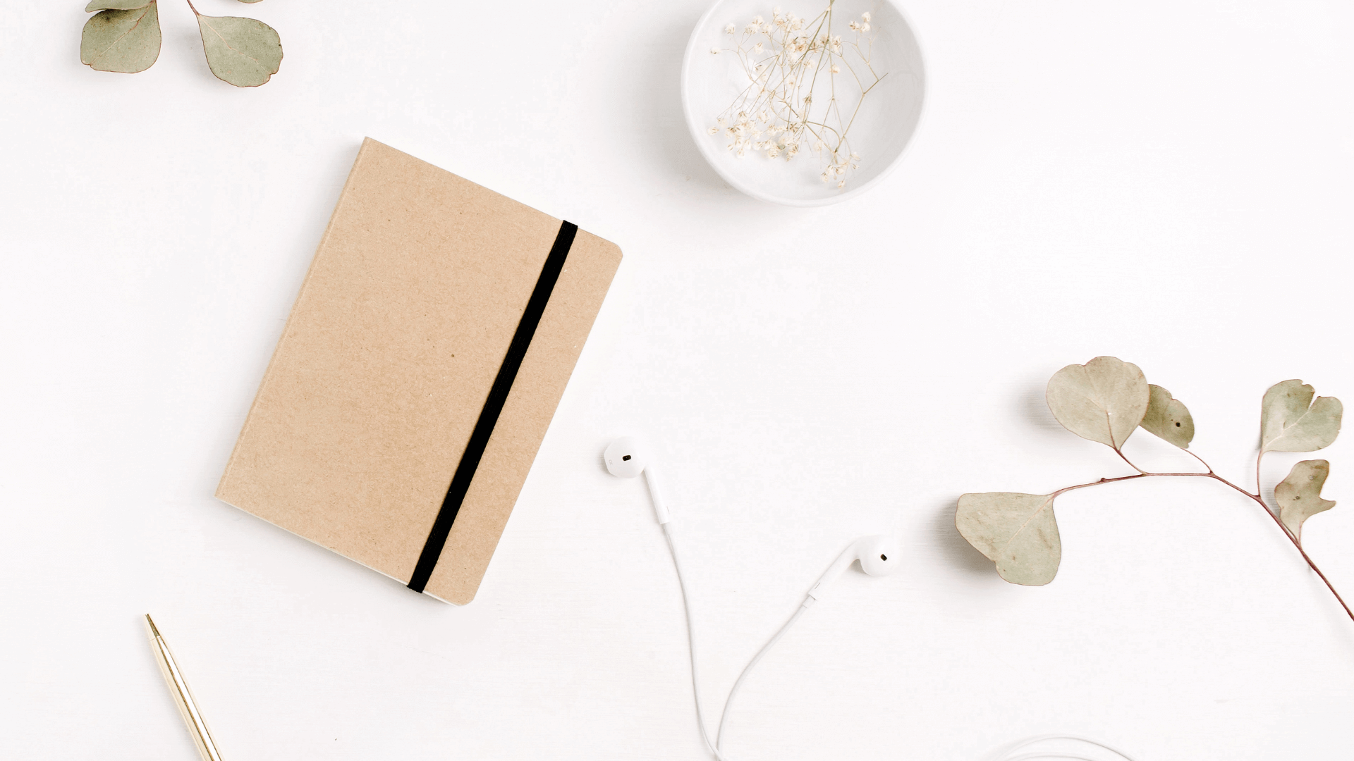 Client testimonials sharing their experience working with our creative house.