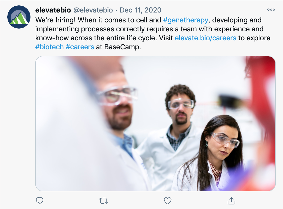 Twitter hiring*.png