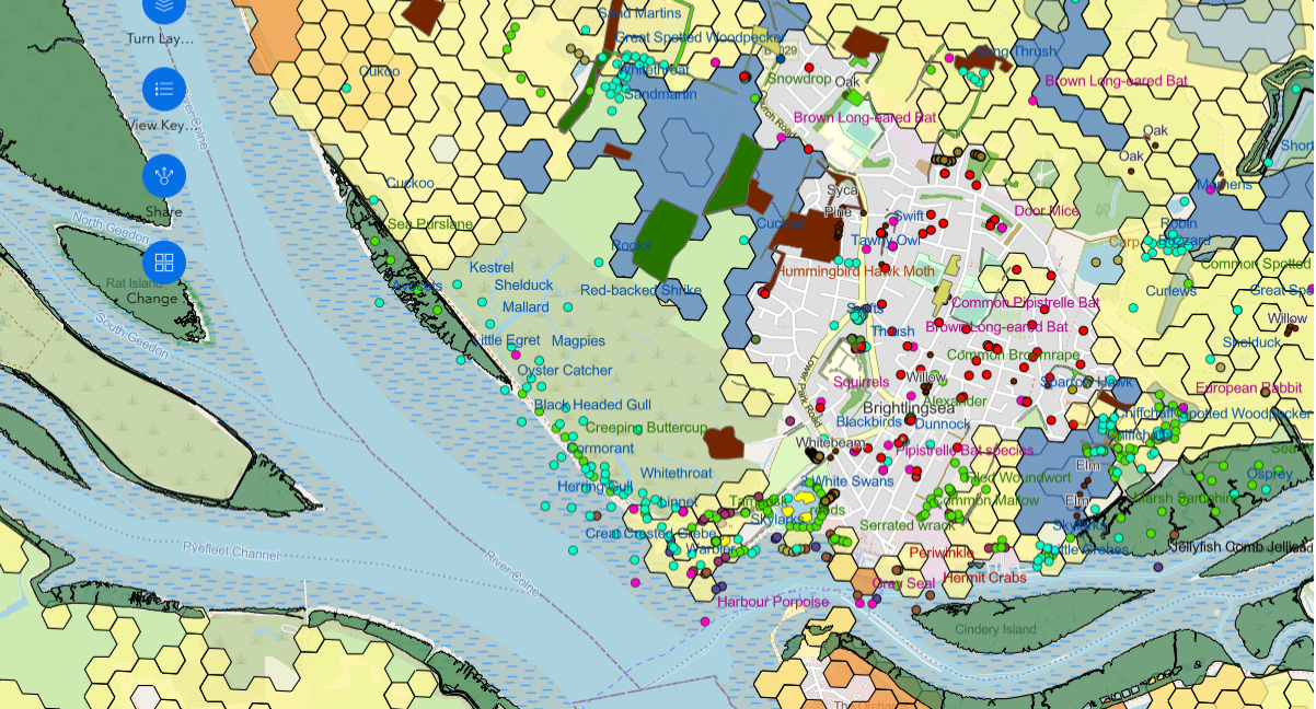GIS Mapping For Art Environment and Community