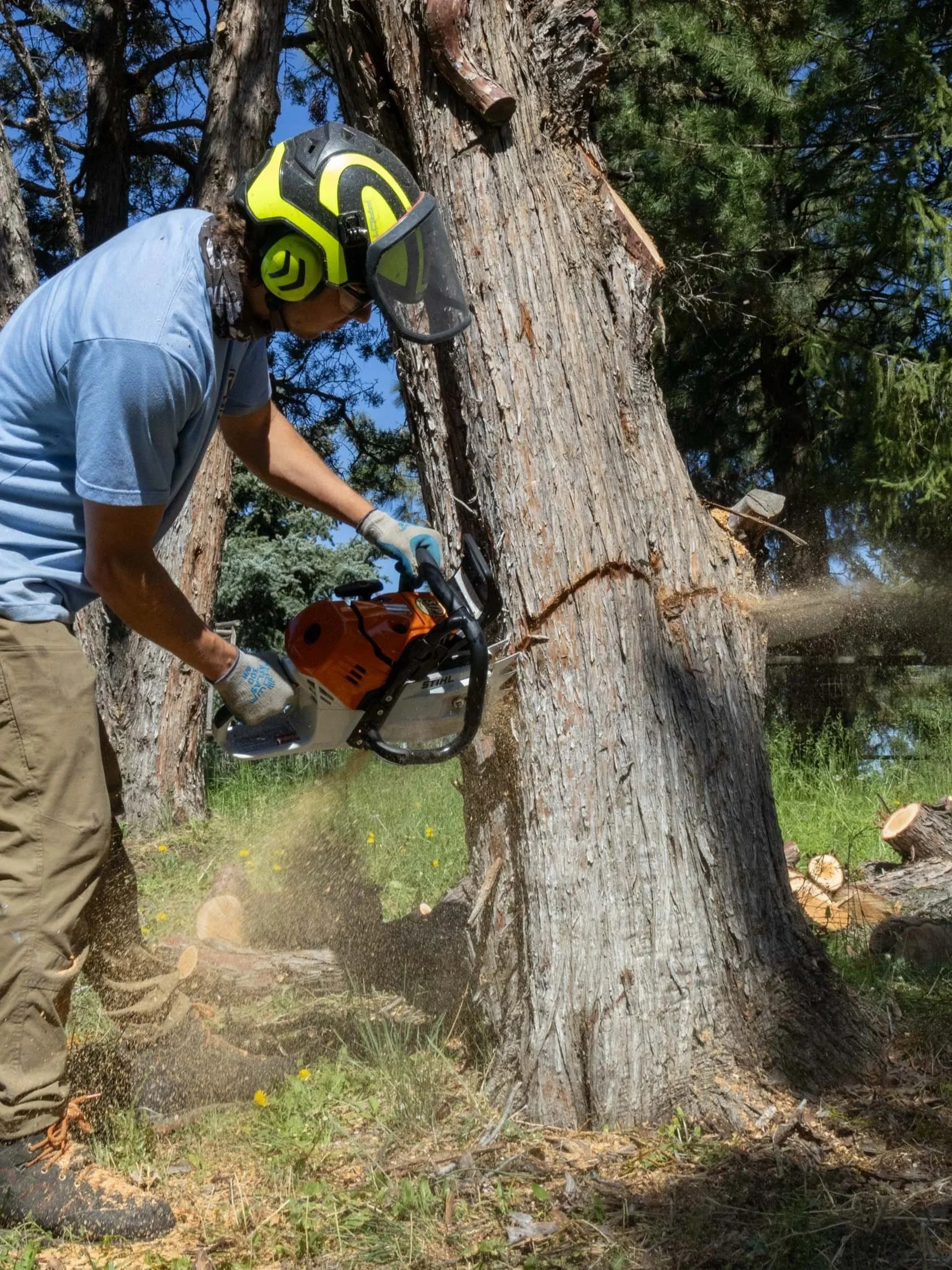NateSaw-3.jpg