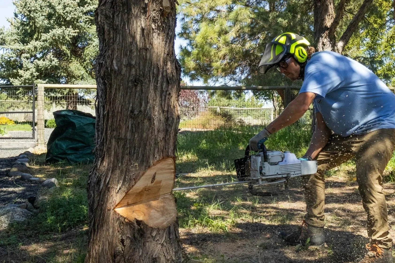 STUMP’D TREE PROS