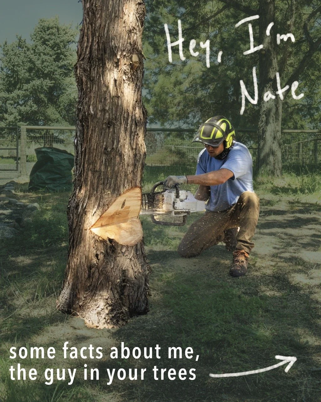 natestp Large.jpeg