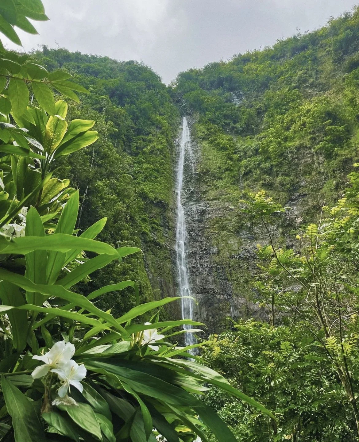lahaina.jpg
