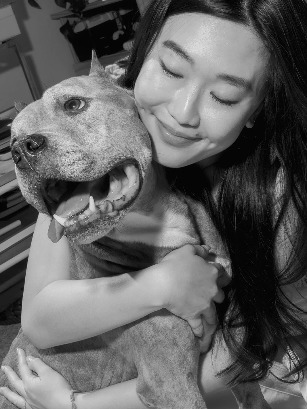 We are making the call to help Mochi cross the bridge 🪽

Mochi gave us the sign. We&rsquo;ve helped him cling on as long as he can. He didn&rsquo;t want to leave and we promised to walk this journey with his heart first. We feel immensely grateful h