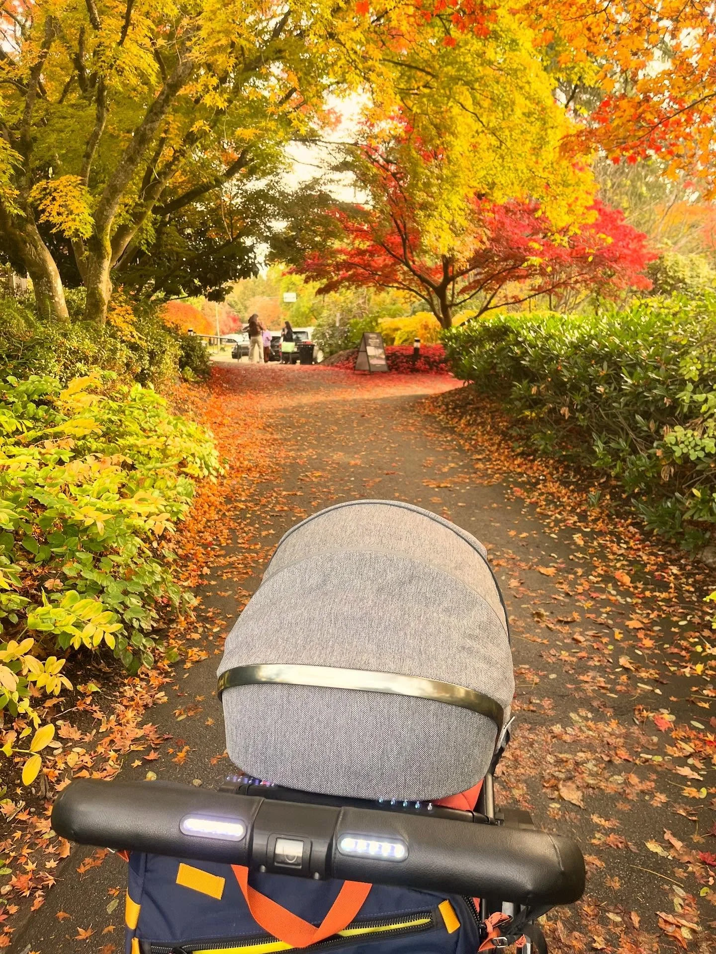 Obsessed with fall colours and those sunny days that make them shine even brighter. 
#strollerwalks #smartstroller #stroller #babytech #babygear #babyregistry #babyregistrymusthave #babymusthave