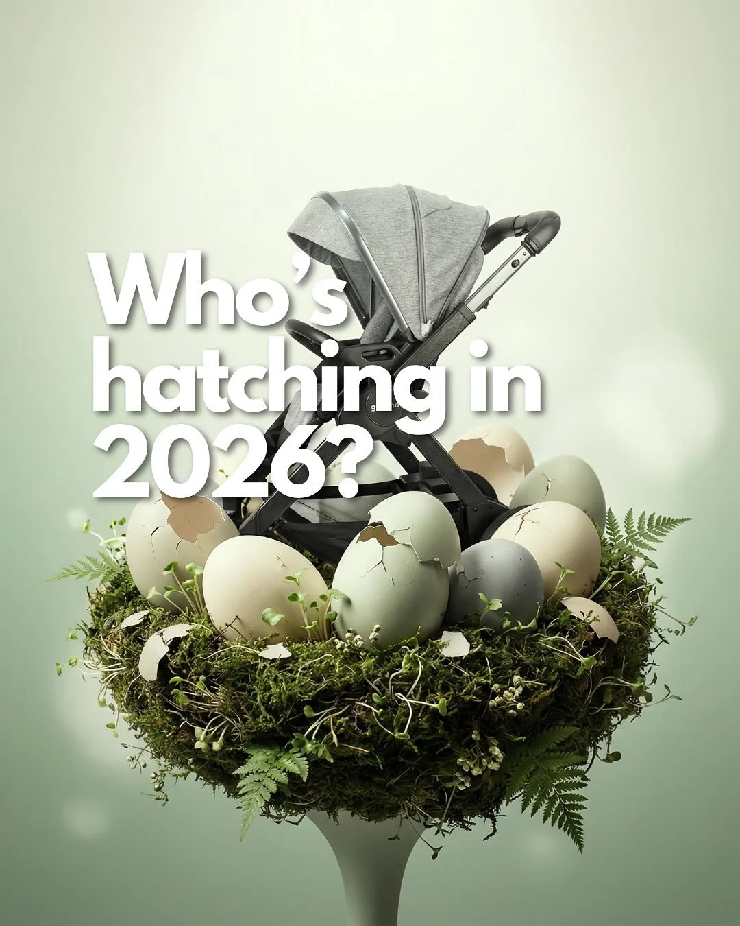 If you are expecting this year, make sure you include Rosa in your stroller research! She&rsquo;s got some pretty incredible super powers! #smartstroller #stroller #electricstroller #aistroller #expecting #baby2026 #babyshower #babyshowermusthaves #b