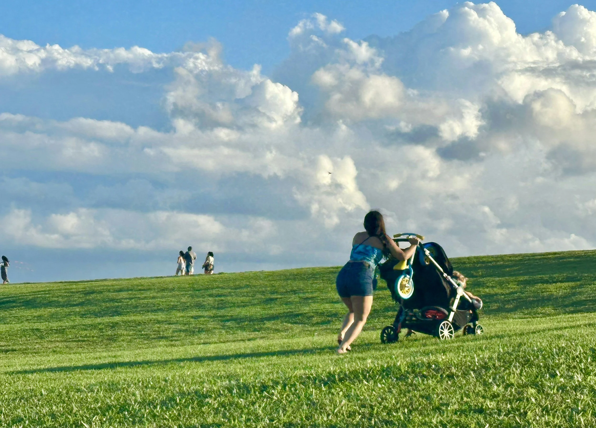 A woman pushing a loaded stroller up a grassy hill strugling