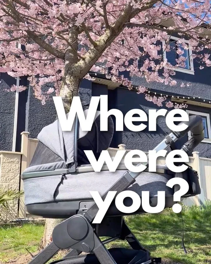 Self-rocking stroller to free up some precious minutes of peace and quite. They sleep while you recharge! The built in speakers for white noise songs or stories complete the perfect sleep setup and add the cherry on top! 

#smartstroller #babyregistr