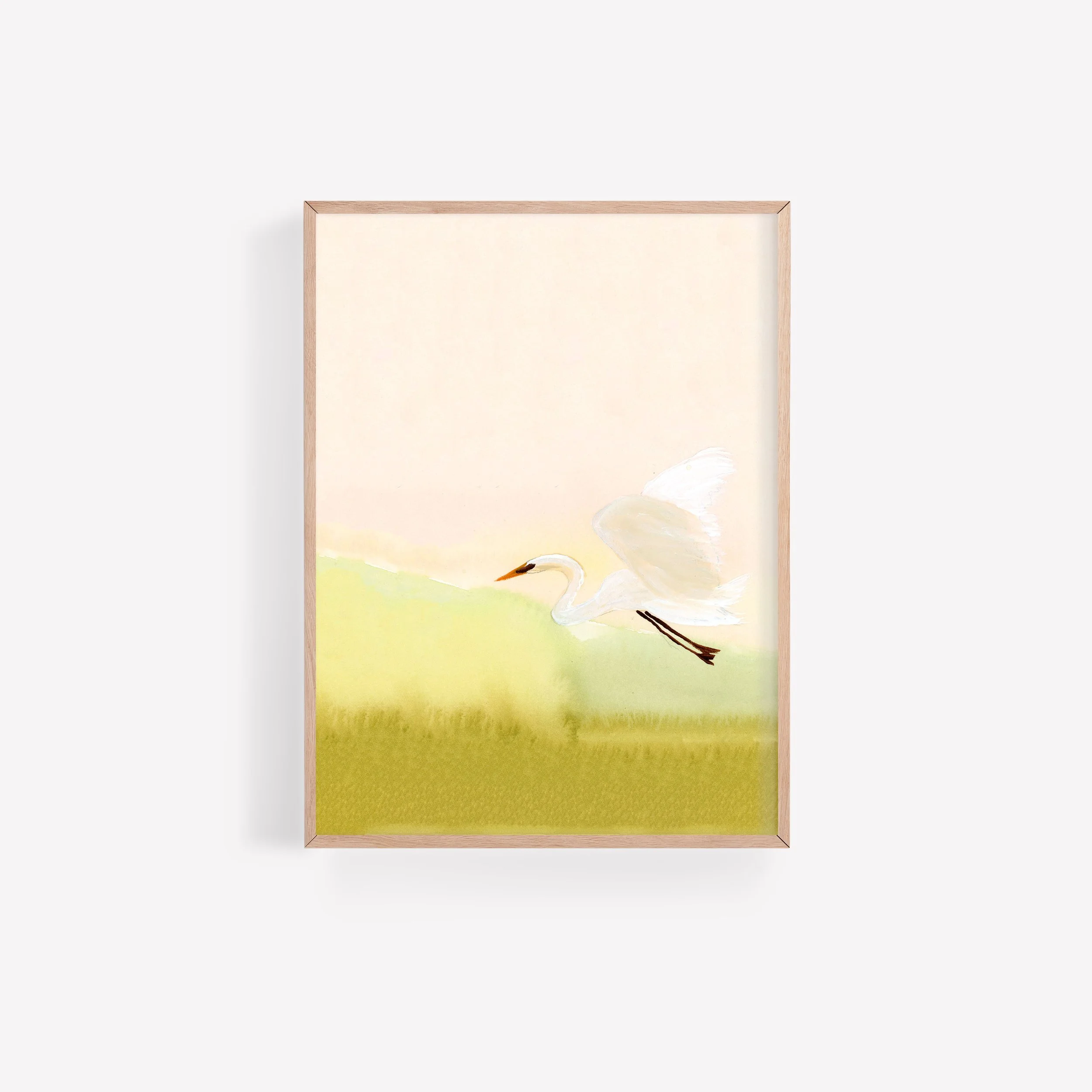 egret .jpg