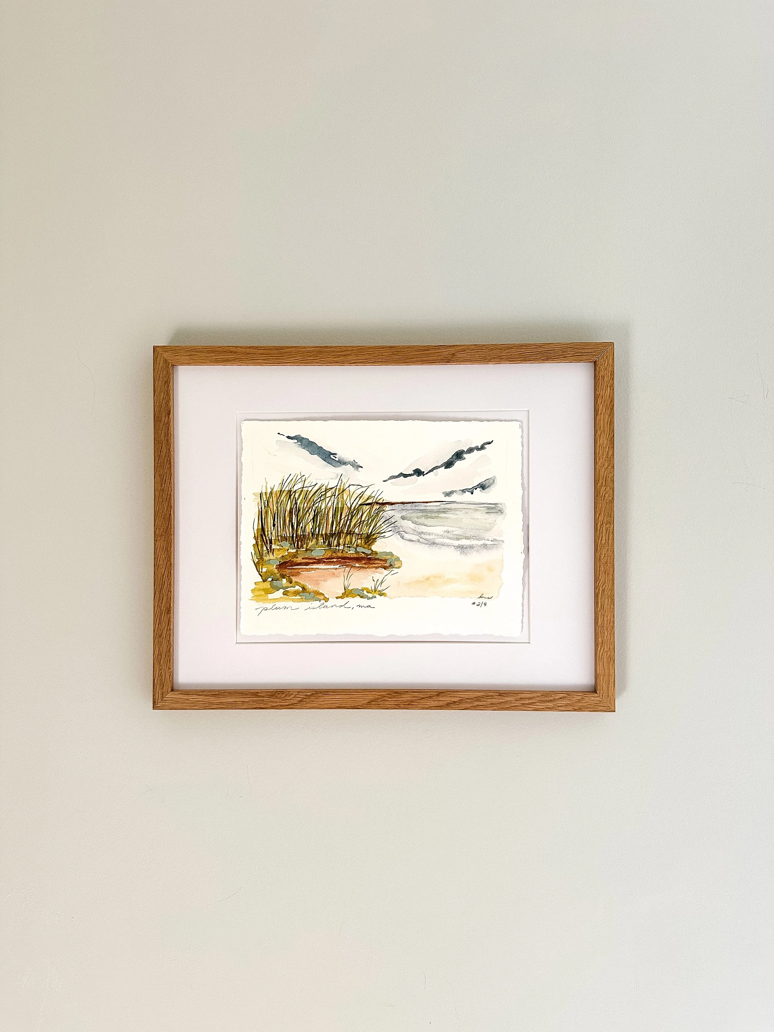 plum island 2 framed.jpeg