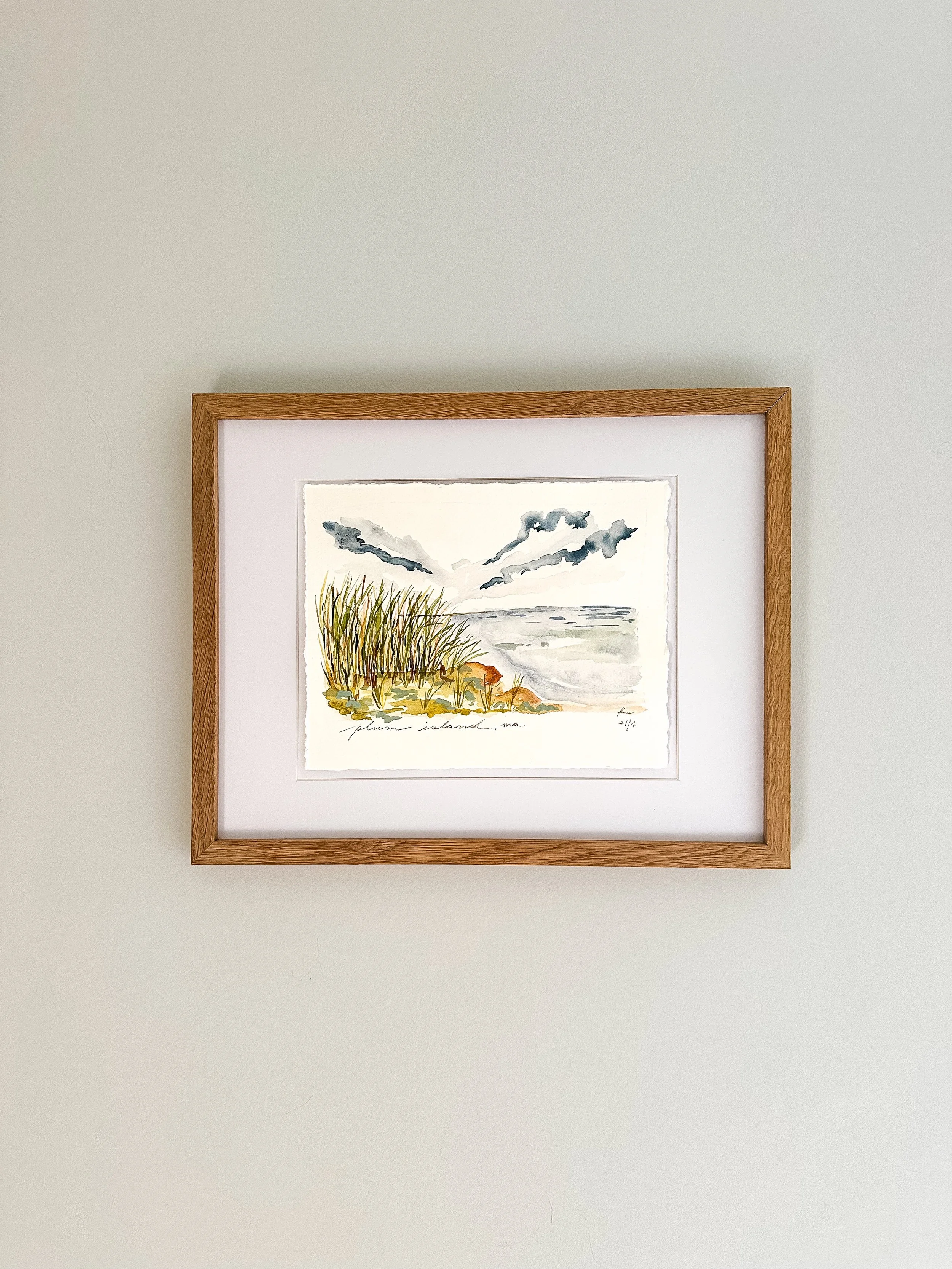plum island 1 framed.jpeg