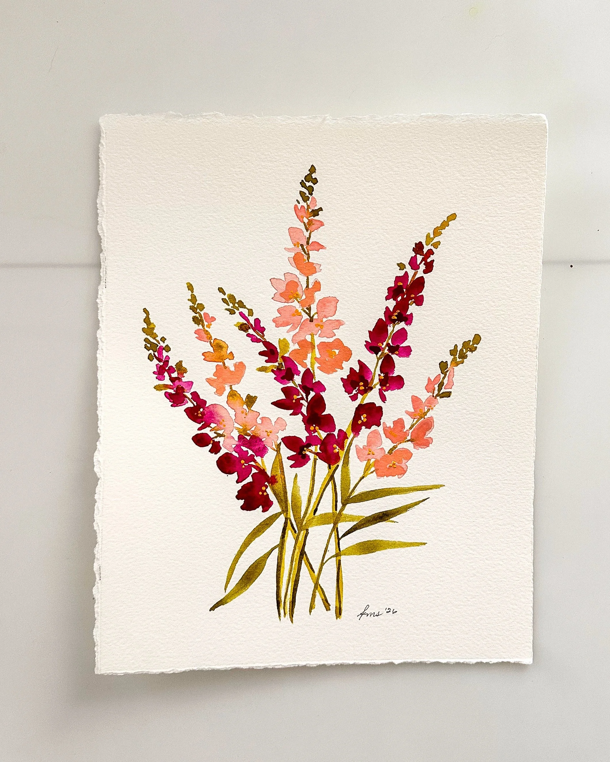 Snapdragon Blooms.jpeg