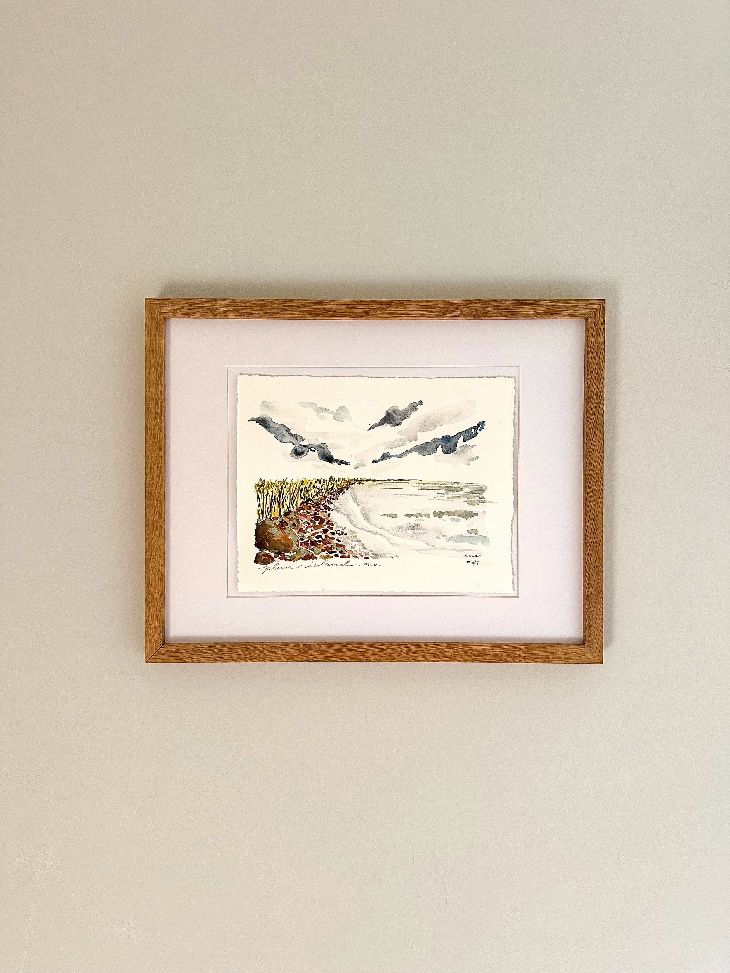 plum island 3 framed.jpeg