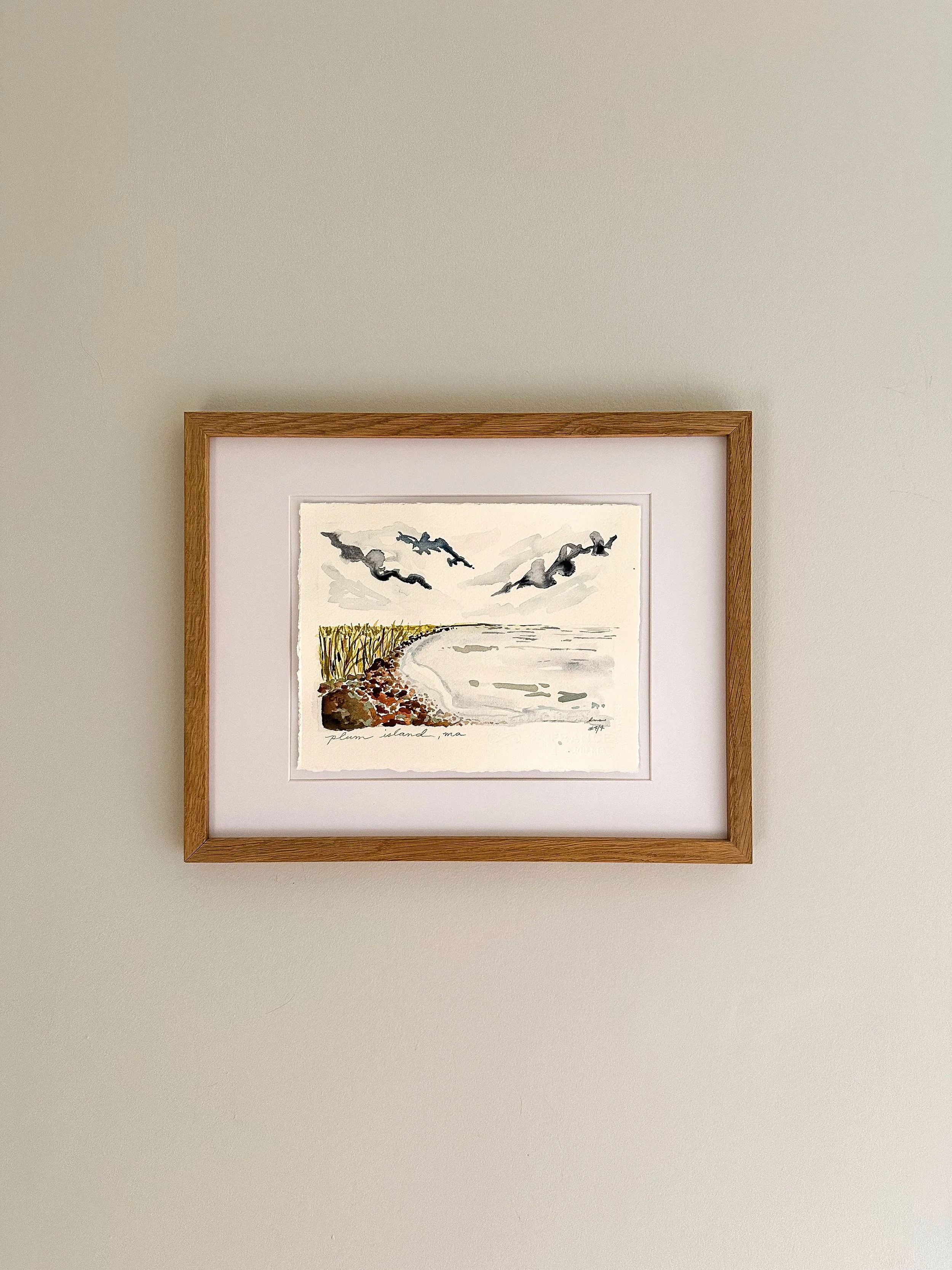 plum island 4 framed.jpeg