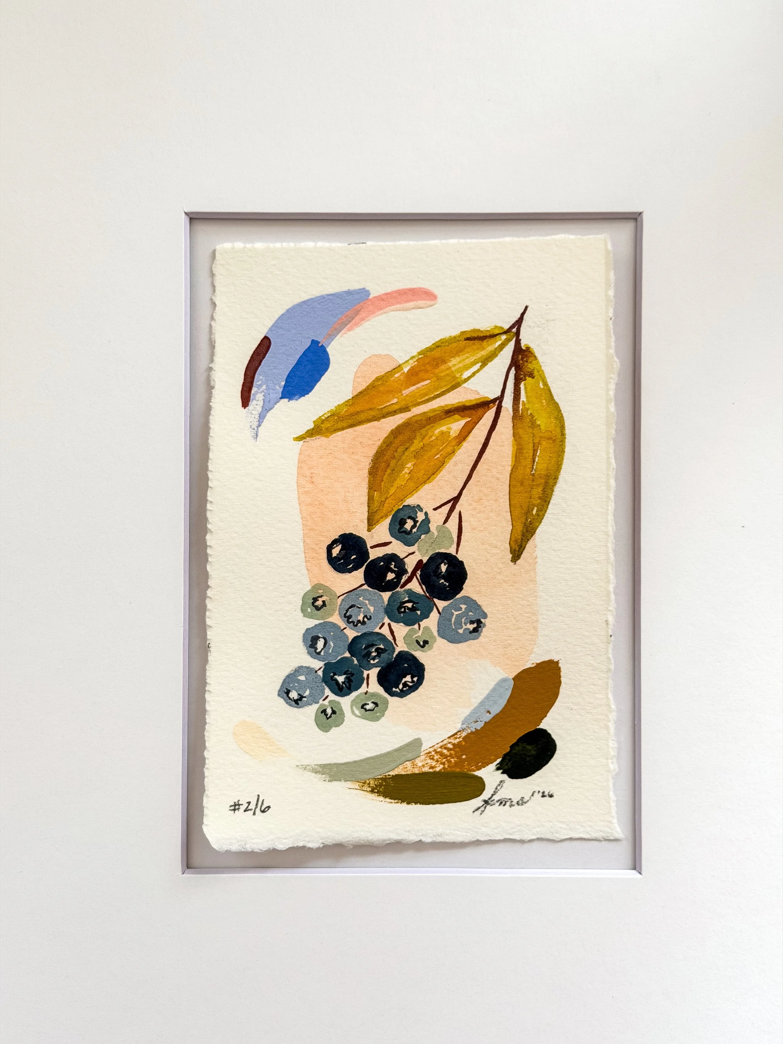Summer Blueberry Study  #2 - 4" x 6"