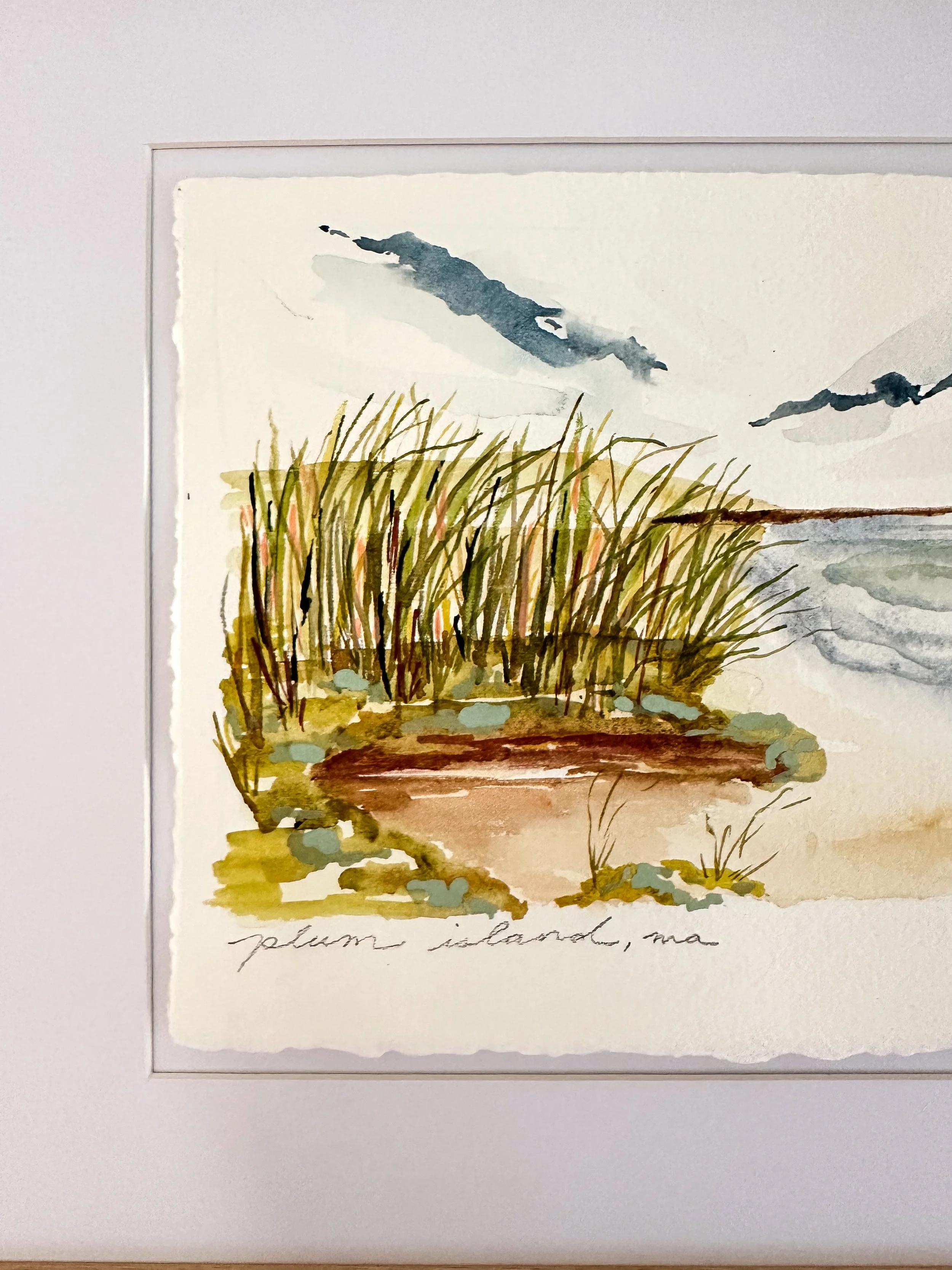 plum island 2 closeup.jpeg