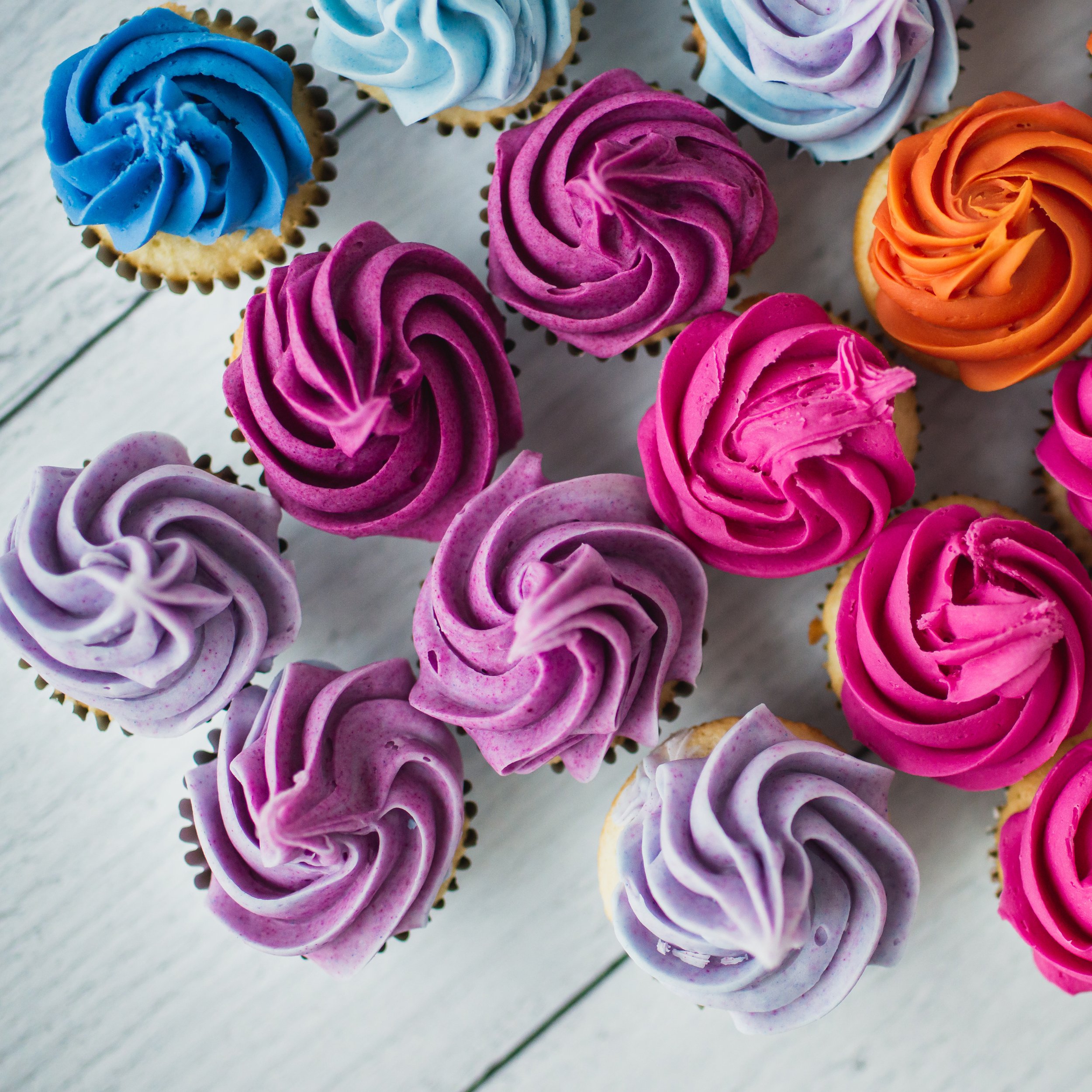 purple_pink_cupcakes_top.jpg
