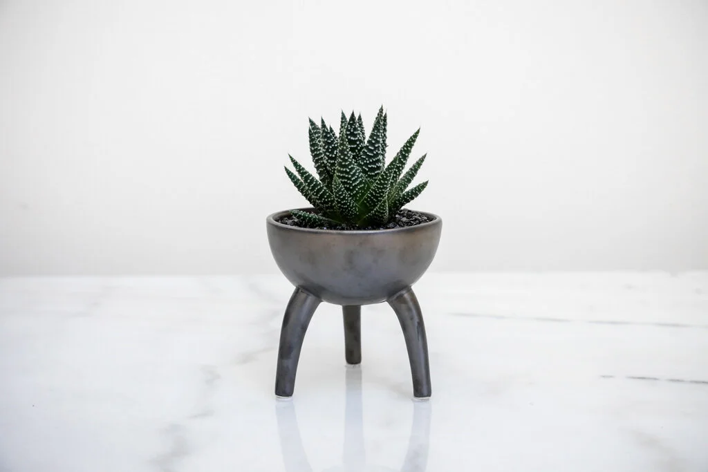 101017-Petaloom-ProductPhotography-17.jpg