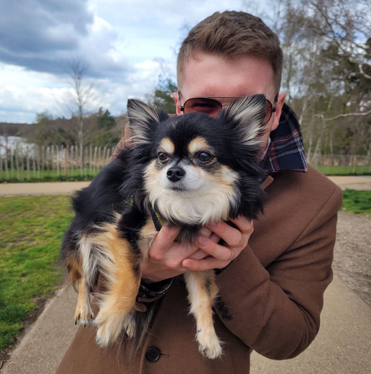 Here is my very own little Best in show Bear with his cousin @samfitzgibbon97 

ID a white man in a smart brown coat holds the most beautiful black white and tan Chihuahua called Bear

#18maidenlane #bestinshow #chihuahua #chihuahuasofinstagram #dog 