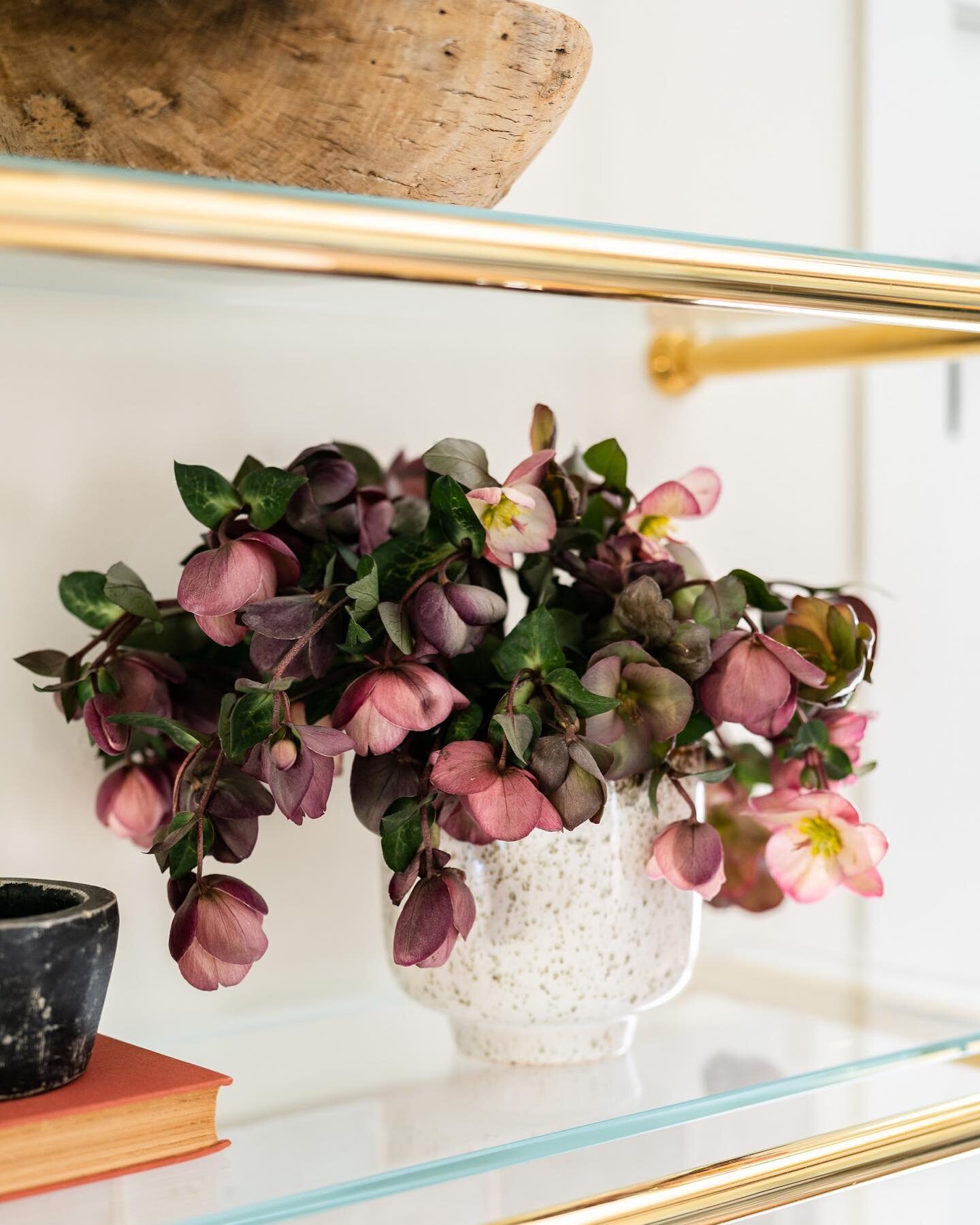 Styling Kitchen shelves and counters makes all the difference when in the home stretch of a renovation or new build. It&rsquo;s these final touches that bring feeling to the new space and shouldn&rsquo;t be overlooked. As a treat, include fresh flora