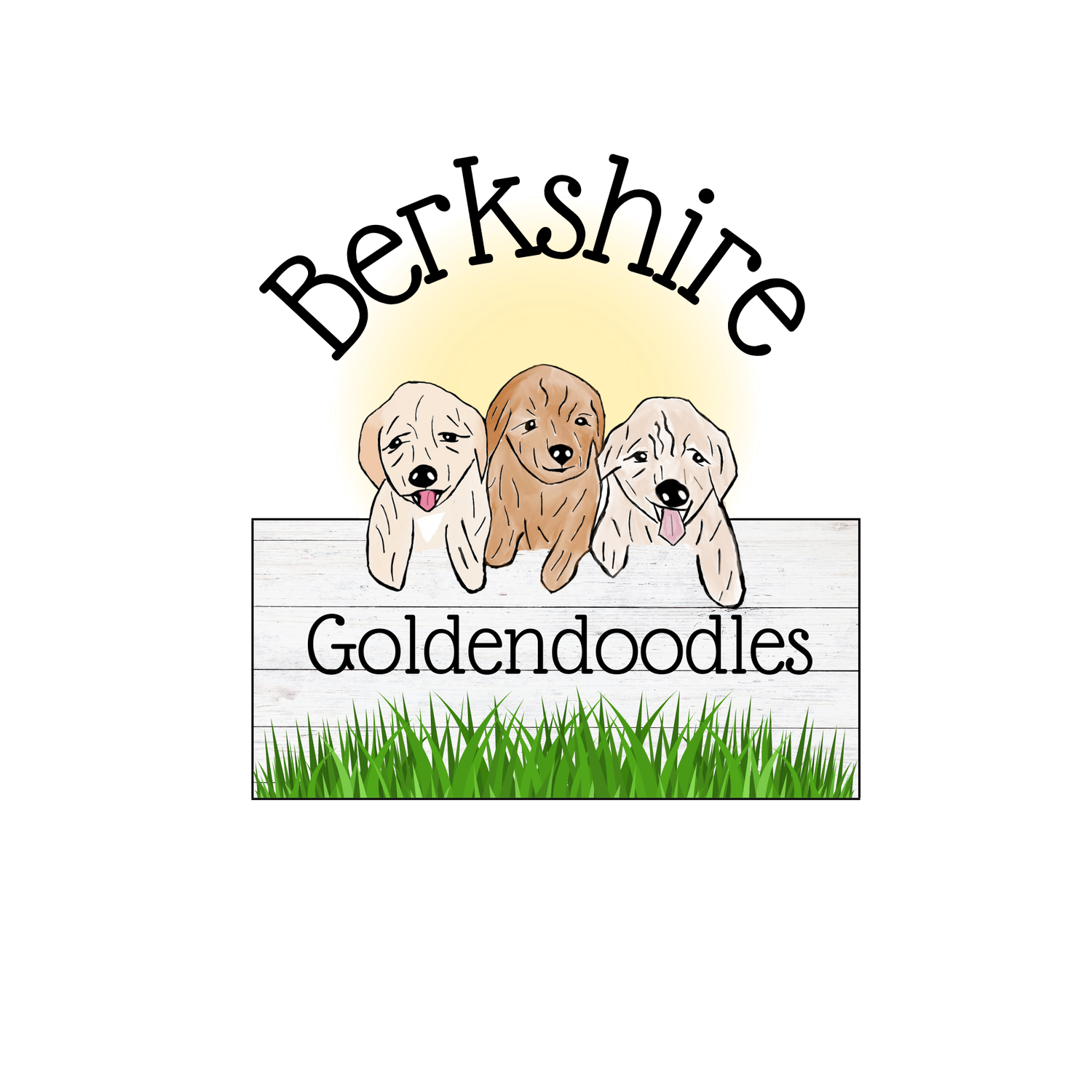 Berkshire Goldendoodles
