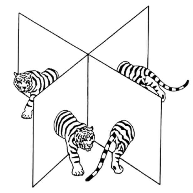 “Perceiving Needs” by Rolf Faste