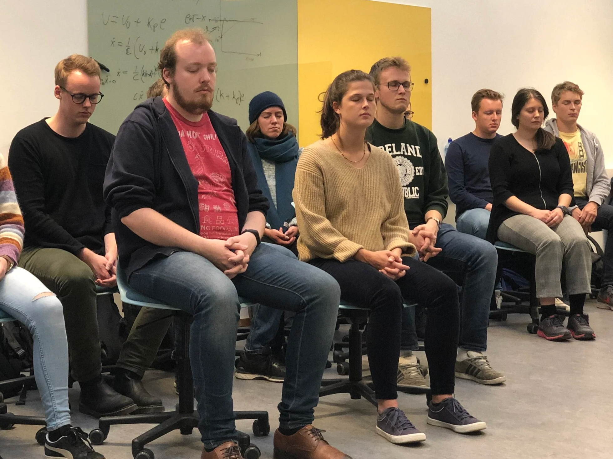 TMM4220 Mindfulness 3.png